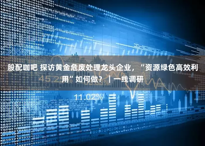股配咖吧 探访黄金危废处理龙头企业，“资源绿色高效利用”如何做？｜一线调研