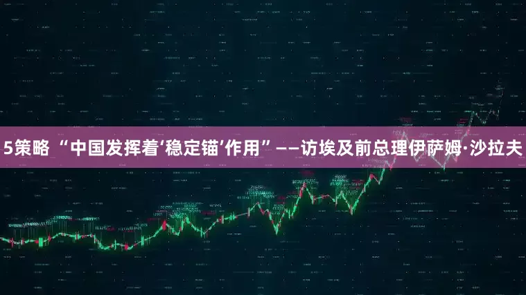 5策略 “中国发挥着‘稳定锚’作用”——访埃及前总理伊萨姆·沙拉夫